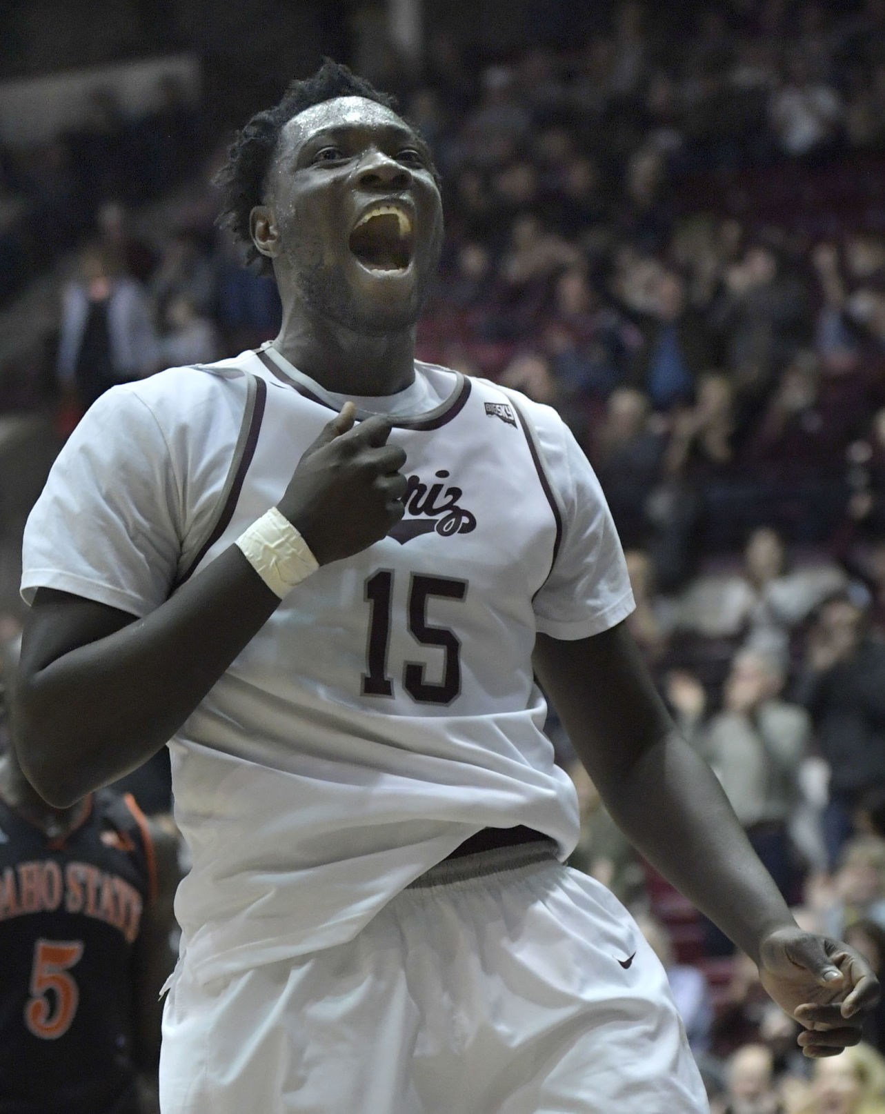 Griz vs Idaho State-5-tm.jpg